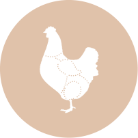 product1-icon