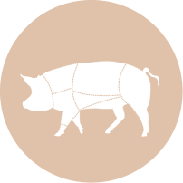 product2-icon