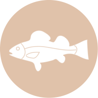 product5-icon